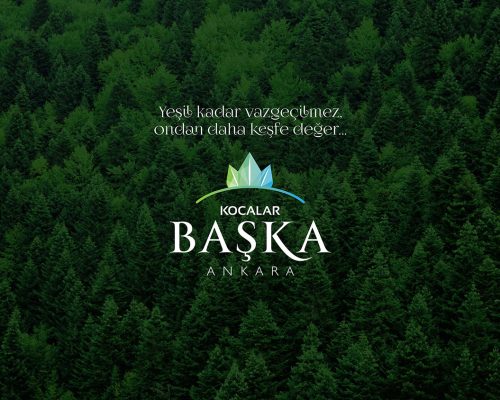 baska_k02